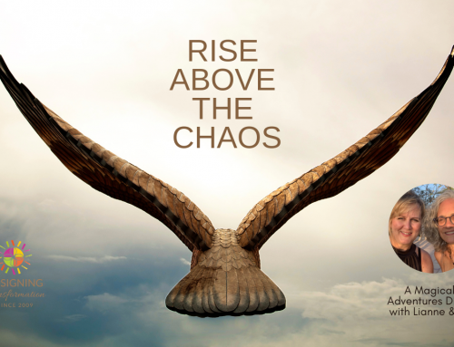 Rising Above the Chaos
