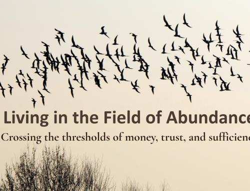 Living in the Field of Abundance