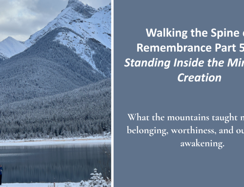 Walking the Spine of Remembrance Part 5: Standing Inside the Mirror of Creation
