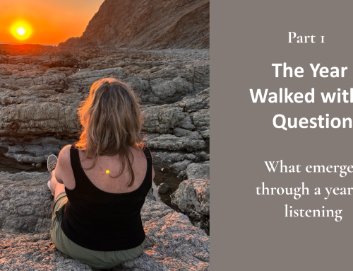 The Year I Walked with a Question